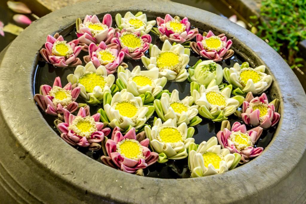 Ravel Boutique Hotel Siem Reap Dış mekan fotoğraf